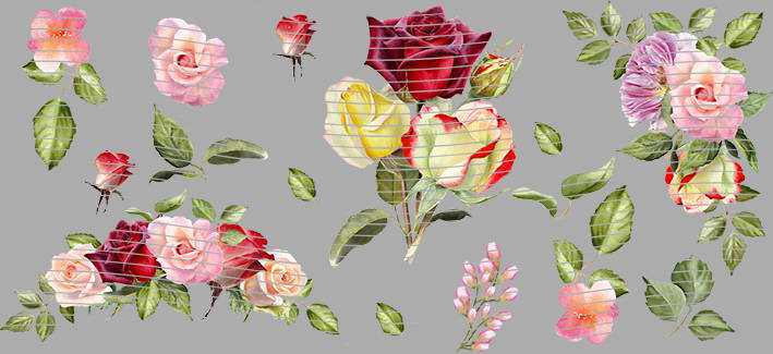 16oz Element-EN-1307